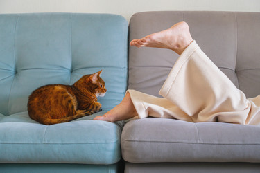 Similar image 22535324