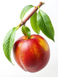 Similar image 22533407