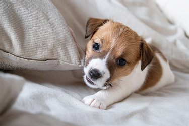 Similar image 22535327