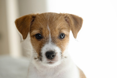 Similar image 22535330