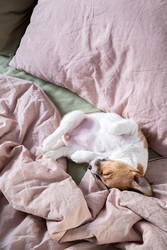 Similar image 22535342