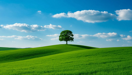 Similar image 22557378