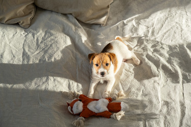 Similar image 22535344