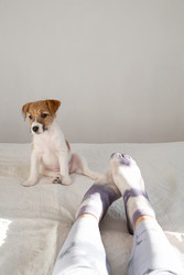 Similar image 22535345