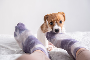 Similar image 22535353