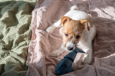 Similar image 22535354