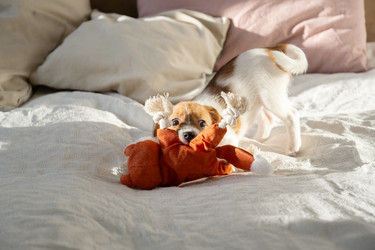 Similar image 22535355