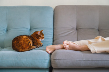 Similar image 22535356