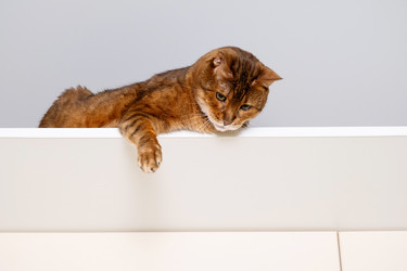 Similar image 22535357