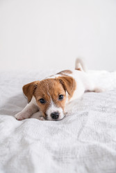 Similar image 22535359