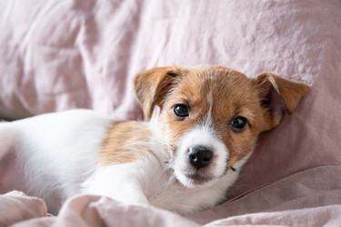 Similar image 22535362