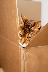 Similar image 22535372