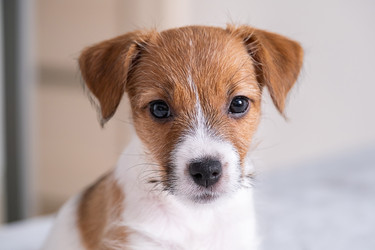 Similar image 22535373