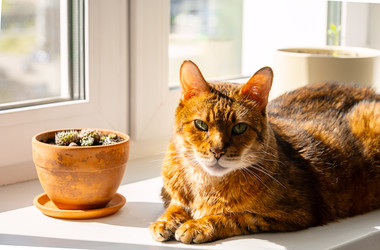 Similar image 22535375