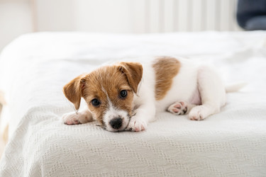 Similar image 22535377