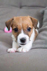 Similar image 22535386