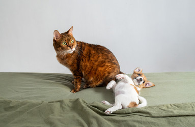 Similar image 22535387