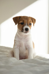 Similar image 22535389