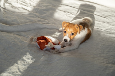 Similar image 22535390