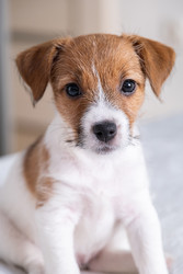 Similar image 22535391