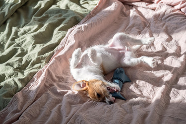 Similar image 22535392