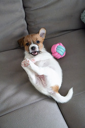 Similar image 22535393