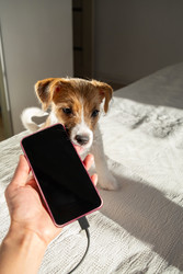 Similar image 22535407