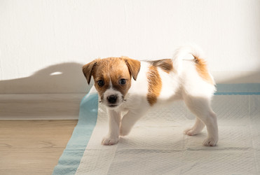 Similar image 22535408