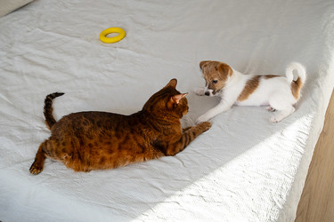 Similar image 22535453