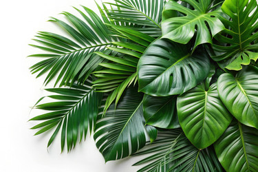 Similar image 22534467