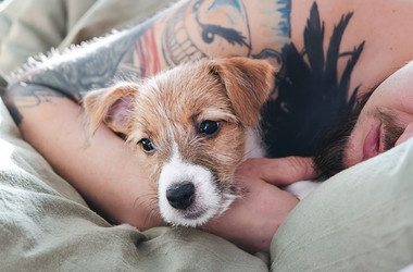 Similar image 22535468