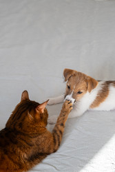 Similar image 22535479