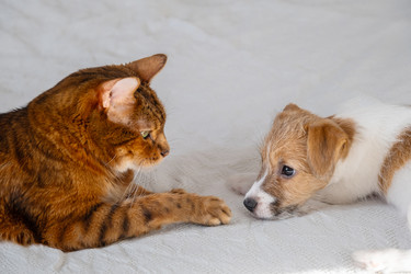 Similar image 22535480