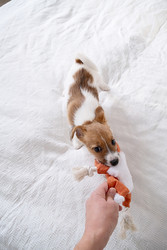 Similar image 22535331