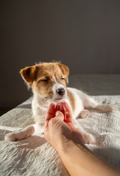 Similar image 22535332