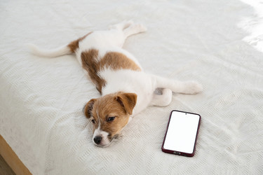 Similar image 22535333