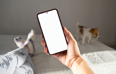 Similar image 22535346