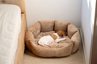 Similar image 22535347