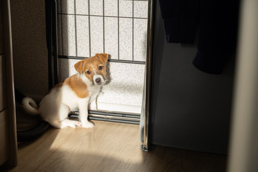 Similar image 22535348