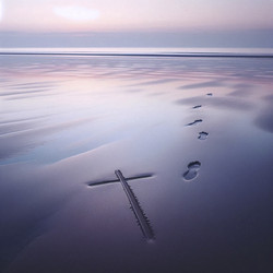 Similar image 22541526