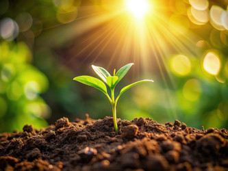 Similar image 22534223