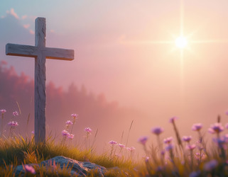 Similar image 22558036