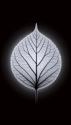 Similar image 22547600