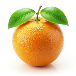 Similar image 22538809