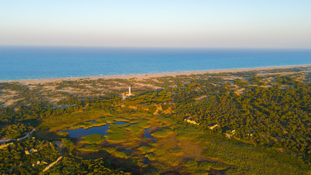 Similar image 22528810