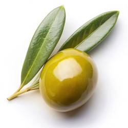 Similar image 22533781