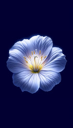 Similar image 22542919