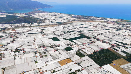 Similar image 22528518