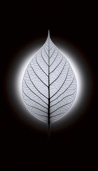 Similar image 22542994