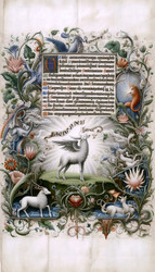 Similar image 22544933